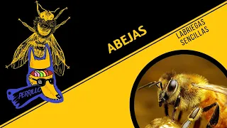 Abejas: Este video les arruina la miel. | Ep 66 | CULTURA COLMILLUDA