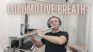 Locomotive Breath (Ian Anderson - Jethro Tull) Live Rock Flute Cover