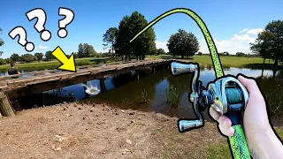 1v1 Random Lures ONLY Bass Fishing Tournament (INSANE)