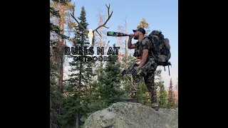 2021 DIY Colorado Archery Elk Hunt