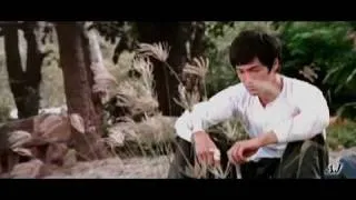 Bruce Lee "Lose Control" featuring Hero by Sevendust (360p)