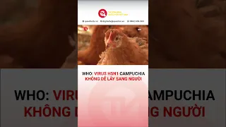 WHO: Virus H5N1 ở Campuchia không dễ lây sang người | Truyền hình Quốc Hội Việt Nam