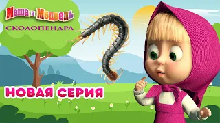 Маша и Медведь - НОВАЯ СЕРИЯ! (Masha and The Bear) - Сколопендра