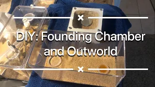 DIY - Founding Chamber Gypsum Formicarium with Outworld