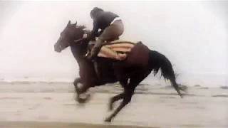 Red Rum's Song 2019 / Grand National Tribute