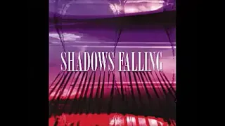 Various ‎– Shadows Falling : 60's Garage Rock, Psychedelic, Beat, Fuzz Punk Music Compilation ALBUM