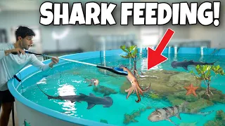 FEEDING My PET SHARKS!!