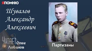 Шувалов Александр Алексеевич. Проект "Я помню" Артема Драбкина. Партизаны.