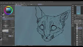 Jayfeather WIP Speedpaint