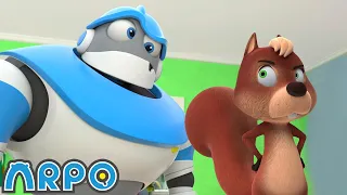 Lo scoiattolo e perso | Cartoni animati per Bambini | ARPO il Robot 🤖