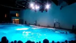 Клайпеда шоу дельфинов/ Klaipēda delfīnu šovs 2015