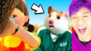 SQUID GAME vs HAMSTERS!? (*SHOCKING ENDING* LANKYBOX REACTION!)