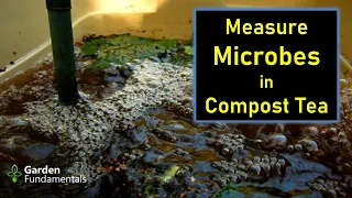New Way to Measure Microbes in Compost Tea using the MicroBIOMETER Test Kit