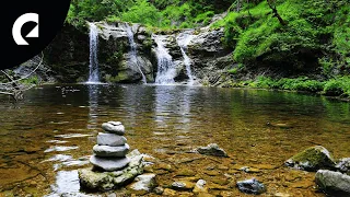 10 Hours of Relaxing River Sounds - Flowing Water and Forest Creek Ambience 🏞️