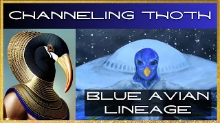 CHANNELING THOTH and RA on their Blue Avian Lineage