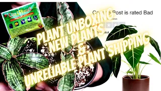 Plant Unboxing, New Plants I've Purchased and Issues with Plant Mail