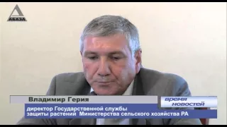 "Самшит нужно возрождать, претендовать на заповедники не нужно никому!", - Шамиль Адзинба.