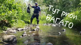 Рибалка на Струмку. Micro STREAM FISHING