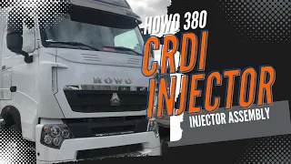 Howo 380 Injector Assembly