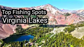 Top Fishing Spots | Virginia Lakes Basin | Eastern Sierra