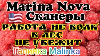 Марина Нова /Сканеры /Работа не волк, в лес не убежит //Обзор Влогов //