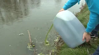 Завершена очистка пруда в с.Рязанцы