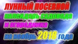 Лунный посевной календарь садовода и огородника на ноябрь 2018 года