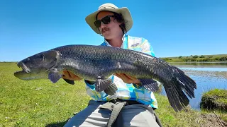 Tararira Enorme en la Vegetación | Pesca Tarariras Uruguay