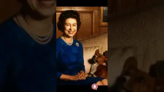 The Queen and Her Corgis 🇬🇧