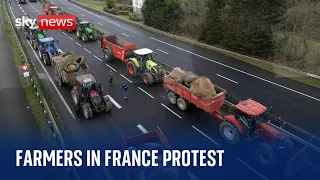 Protesting farmers block motorway