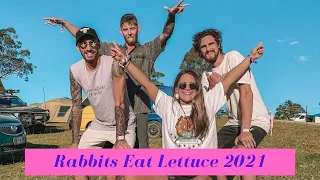 Rabbits Eat Lettuce 2021