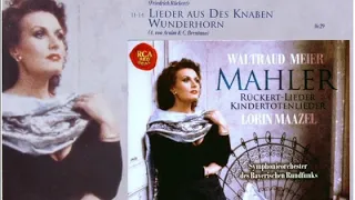 Mahler - Wunderhorn (Waltraud Meier)