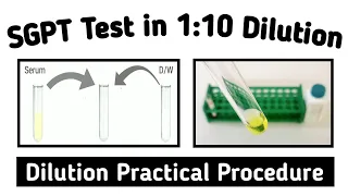 How to make 1:10 dilution for biochemistry Test || SGPT Test in Dilution