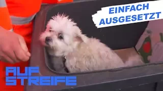 Tragische Entdeckung: Hund in Mülltonne gefunden | Auf Streife | SAT.1 TV