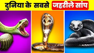 Top 10 dangerous snakes of the world | दुनिया के 10 सबसे जहरीले सांप