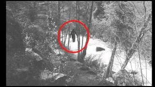 BIGFOOT SIGHTING - SASQUATCH EVIDENCE? OCTOBER 2012. 1080p HD