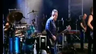 Them Crooked Vultures***Spinning in Daffodils*(Live at Reading-09)