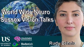 World Wide Neuro | Sussex Vision Series - 14/03/2022 - Prof. Rudy Behnia