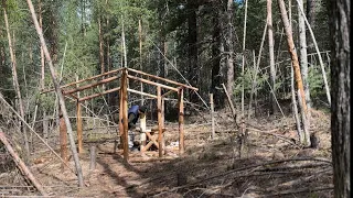 Building a Woodland Log Cabin with Plastic Wrap | Secret Bushcraft Survival Shelter in the woods