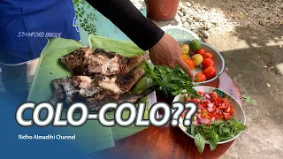 Ikan Bakar Colo-colo | Kuliner Khas Maluku