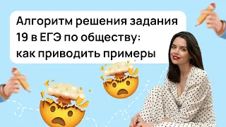 Алгоритм решения задания 19 в ЕГЭ по обществу: как приводить примеры