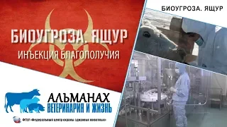 "Биоугроза. Ящур"