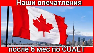 Впечатления после полугода в Канаде по CUAET. Украинцы в Канаде. Канада иммиграция
