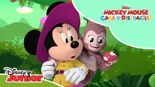 🌴 Înapoi în pădurea fermecată | Mickey Mouse: Casa distracției | Disney Junior România