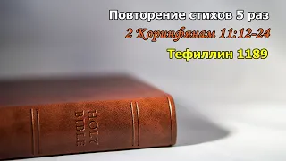 Тефиллин 2 Коринфянам 11:12-24 стихи повторение 5 раз