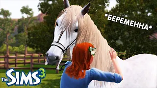 My horse is PREGNANT in The Sims 3