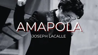 Hiroyuki Imura-Amapola / アマポーラ 　#amapola #latina