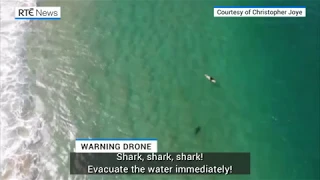 Shark, shark, shark! Drone used to warn surfer