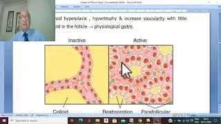 Thyroid disorders in Arabic 4 ( Physiological goiter, part 2  & colloid goiter) , by Dr. Wahdan