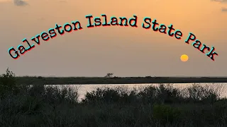 Galveston Island State Park Campsite #119 Review And Other Campsites